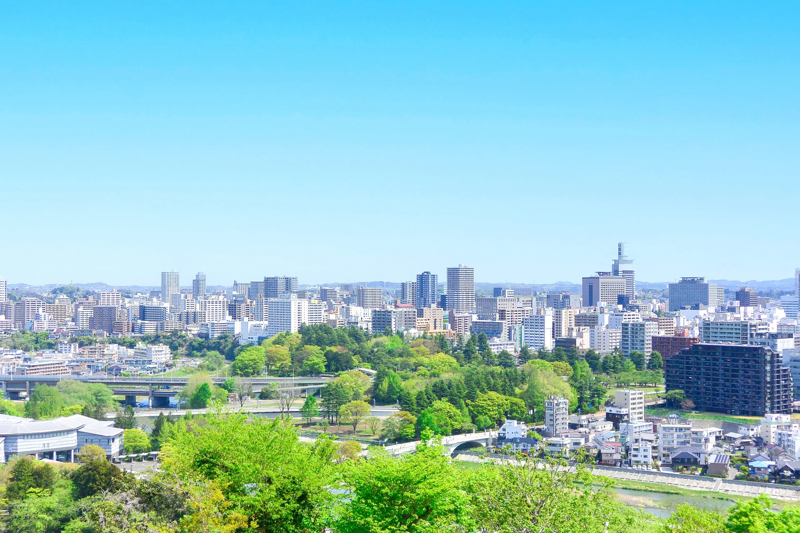 企業情報